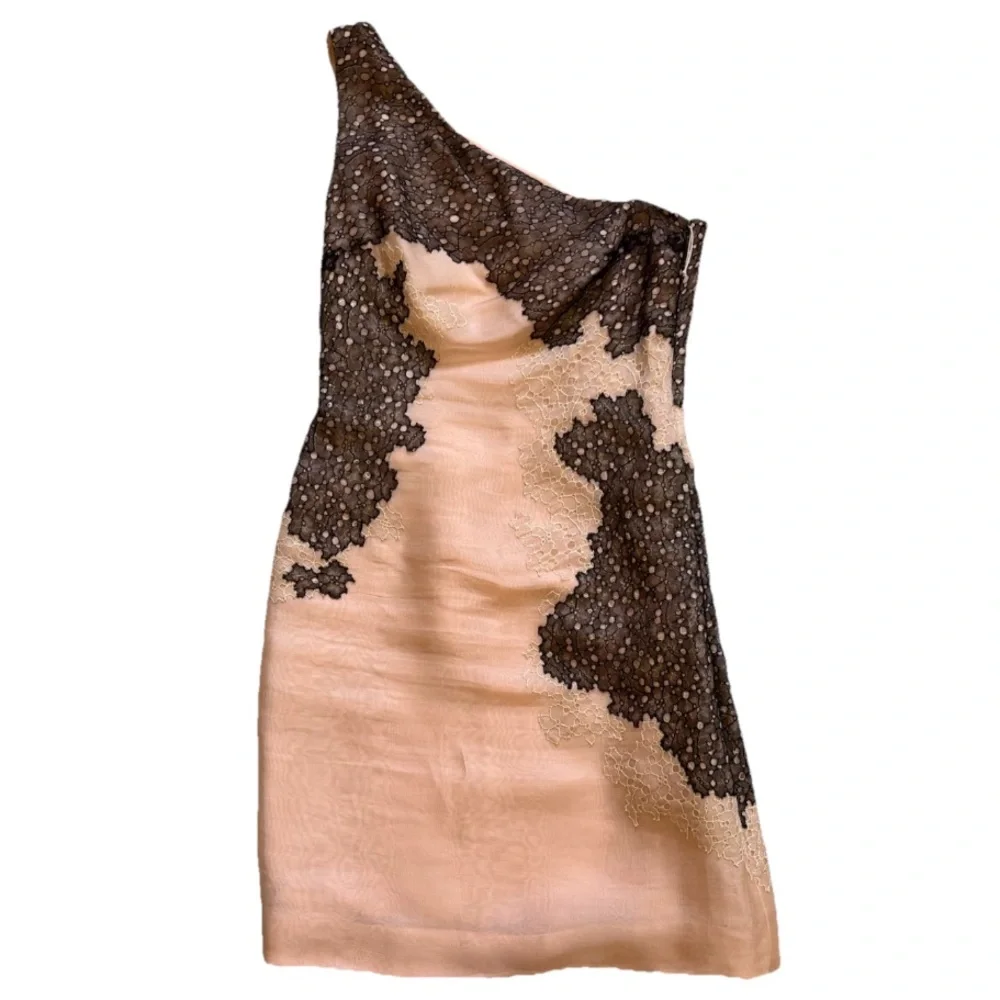 J. Mendel One-Shoulder Dress in Blush w/ Black Lace Detailing Size 6 Silk Chic - Picture 1 of 5